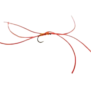 Apps Worm Fly Orange Per Dozen