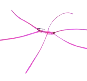 Apps Worm Fly Pink Per Dozen