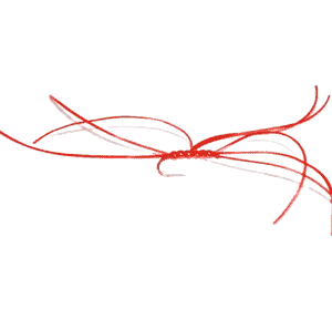 Apps Worm Fly Red Per Dozen