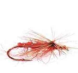 Big red Dry Fly Per Dozen