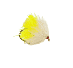 Biscuit Fab Fly 2-Tone  Per Dozen