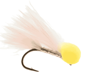 Candy Floss Booby Fly Per Dozen