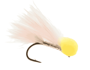 Candy Floss Booby Fly Per Dozen