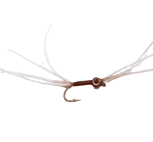 Cat Bung Alien Per Dozen