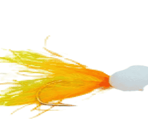 Cut Throat Cat Booby Per Dozen