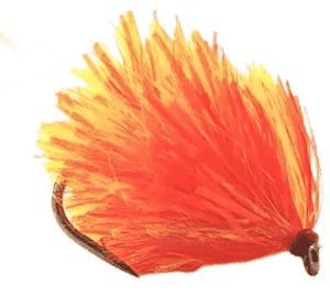 Fusion Cocktail Blob Per Dozen