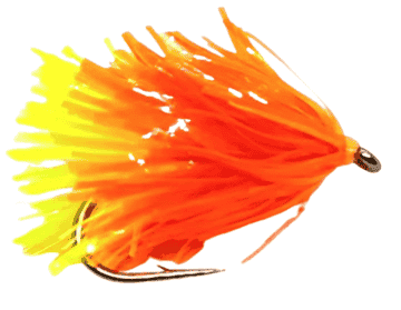 Jelly Fritz Tequila Fab Per Dozen