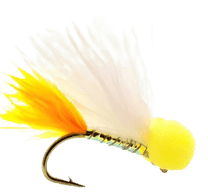 Sunburst Candy Floss Booby Per Dozen