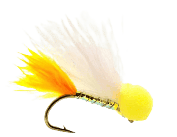 Sunburst Candy Floss Booby Per Dozen