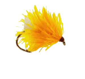 Sunburst Jelly Fritz Fab Per Dozen