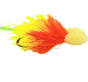 Tequila Booby Per Dozen