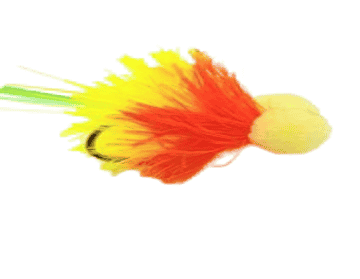 Tequila Booby Per Dozen