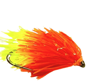 FAB Tequila Blob Fly Per Dozen