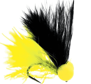 The Lake Secret Per Dozen