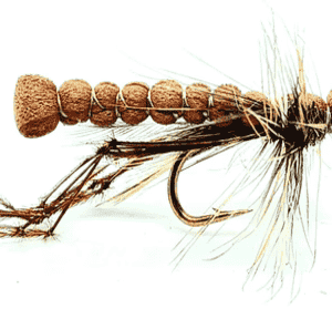 Brown Segmented Foam Daddy Per Dozen