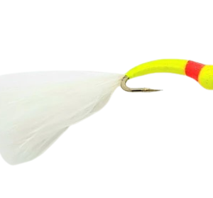 Cat Bung Hot Spot Per Dozen