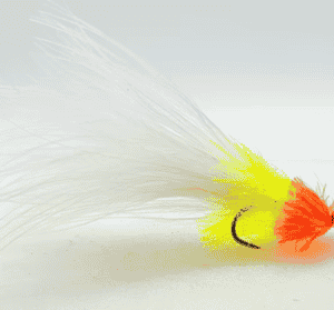 Chain Eye Jelly Fritz Cut Throat Cat Lure Per Dozen