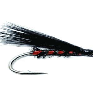 Cormorant Fly Red Holographic Per Dozen