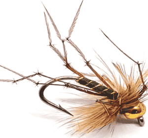 Goldhead Daddy Longlegs Per Dozen