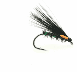 Holo Green rib cormorant Per Dozen