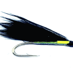 Pearly Cormorant Fly Per Dozen