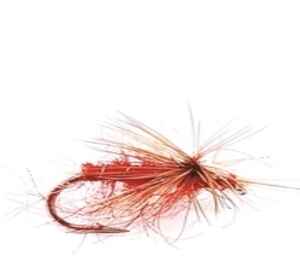 Big red Dry Fly Per Dozen
