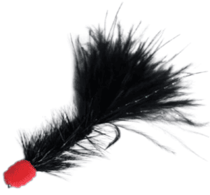 Black Bunny Leach Per Dozen