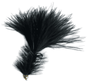 Gold Head Black Wooly Bugger