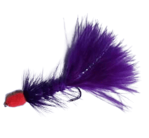 Purple Bunny Leech